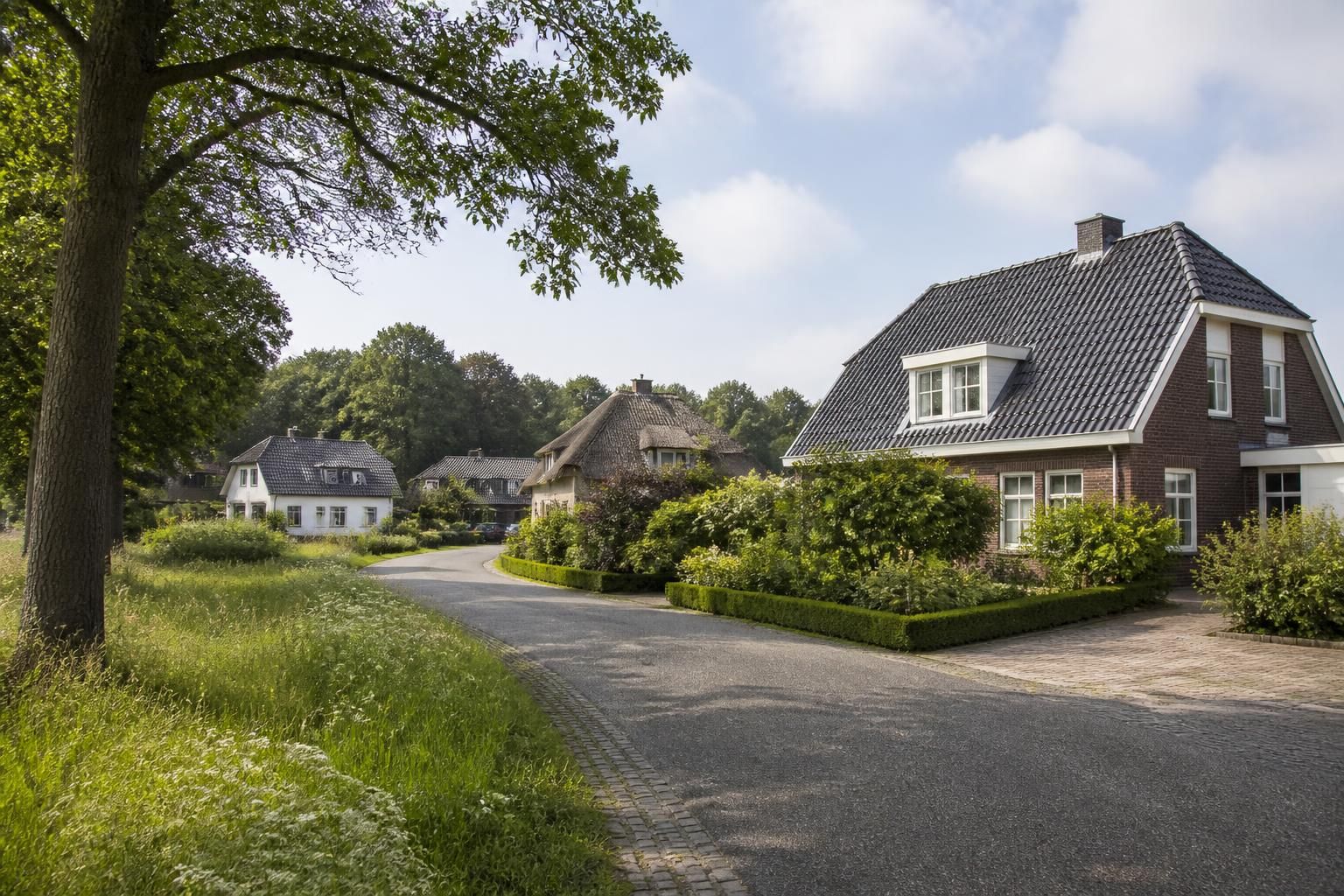 Quiet neighborhood with detached homes and greenery in Hengelo Gelderland.