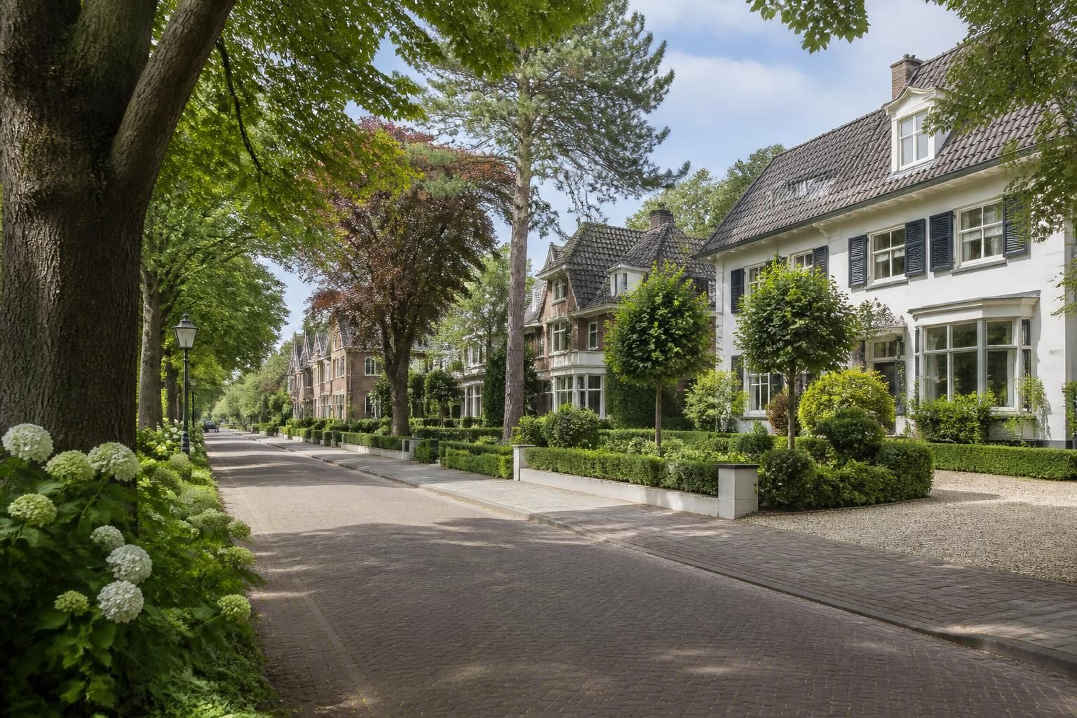 Refined homes and landscaped greenery on a residential avenue in Zeist.